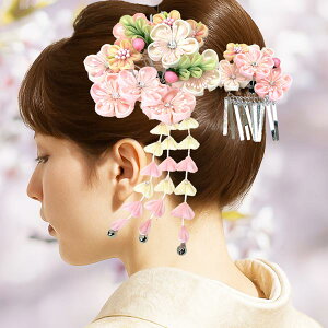  _Zbg  sN ܂ݍ׍H 񂴂@wk-226 l U Ǝ  Ԃ񂴂 t[ wA[ANZT[@y