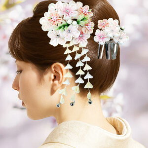  _Zbg  sN ܂ݍ׍H 񂴂@wk-226 l U Ǝ  Ԃ񂴂 t[ wA[ANZT[@y