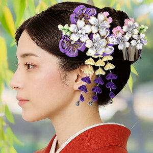  2_Zbg 񂴂 l Ǝ wk-346 ܂ݍ׍H 񂴂 l U Ǝ  wA[ANZT[ y