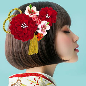  2_Zbg l U wk-095 ܂ݍ׍H   Ǝ   a ÓT a wAANZ wAANZT[