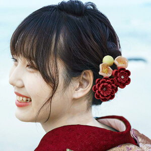  ܂ݍ׍H 5_Zbg U l kk-089 ԏ Ԃ񂴂 wAANZT[   ܎O Ǝ  l awA