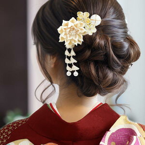  ܂ݍ׍H 5_Zbg U l kk-080 ԏ Ԃ񂴂 wAANZT[   ܎O Ǝ  l awA