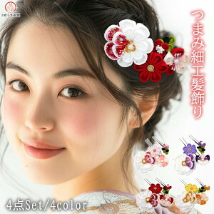  ܂ݍ׍H 4_Zbg U l kk-256 ߂񐶒n ԏ Ԃ񂴂 wAANZT[   ܎O Ǝ  l awA