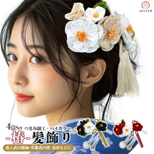  4_Zbg wk-221 ܂ݍ׍H 񂴂 l U Ǝ   t[ wA[ANZT[  bh@y