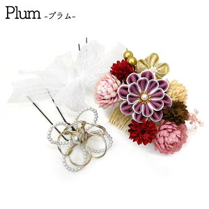  3_Zbg l U kk-013 ܂ݍ׍H  \Ow Ԃ񂴂 񂴂 wAANZT[ R[ s y