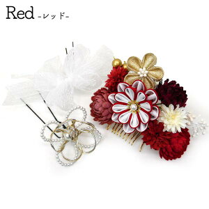  3_Zbg l U kk-013 ܂ݍ׍H  \Ow Ԃ񂴂 񂴂 wAANZT[ R[ s y