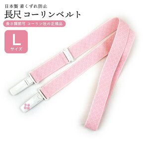 LTCY R[xg sN wk-204 { [  Ki xg ̃xg axg h~ a t