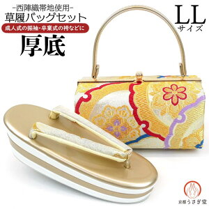 LLTCY obOZbg Up l zb-031  Ǝ  S[h Vo[  wD 