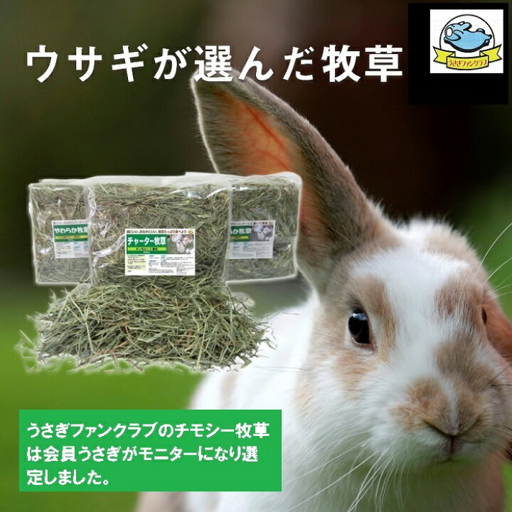 楽天市場 13 Offラストセール Max42 Offクーポン うさぎファンクラブ チャーター牧草800g チモシー１番刈 おなかと歯の健康におすすめ うさぎクラブ人気商品 うさぎファンクラブ