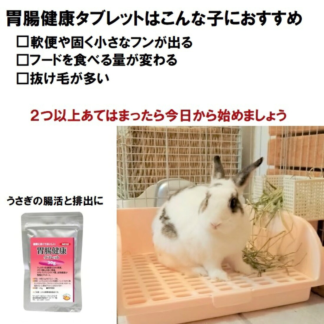 楽天市場 あなたのうさぎさんを元気にしたい うさぎファンクラブ トップページ