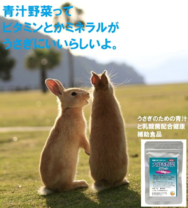 楽天市場 うさぎ サプリ 健康食品 野菜 青汁 ビタミン ミネラル お試しうさぎ大好き野菜サプリメント6gパック 青汁野菜14種 にんじんビタミン うさぎファンクラブ