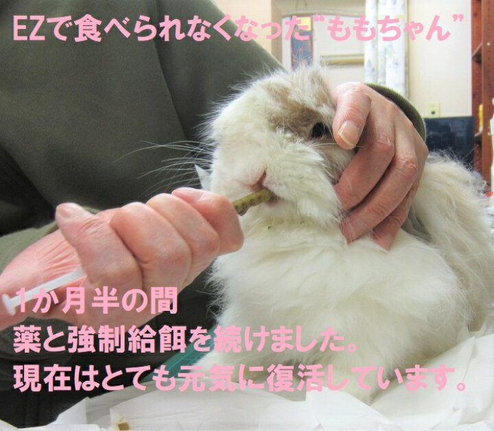楽天市場 うさぎ 強制給餌 液体注入器 シリンジ1cc 10本セット 流動食 食べない 高齢 病気 胃腸 飲み薬 シロップ 食欲低下 1ミリリットル 細い 飲ませやすい 使い捨て フード粉 液 ジュース うさぎファンクラブ うさぎファンクラブ
