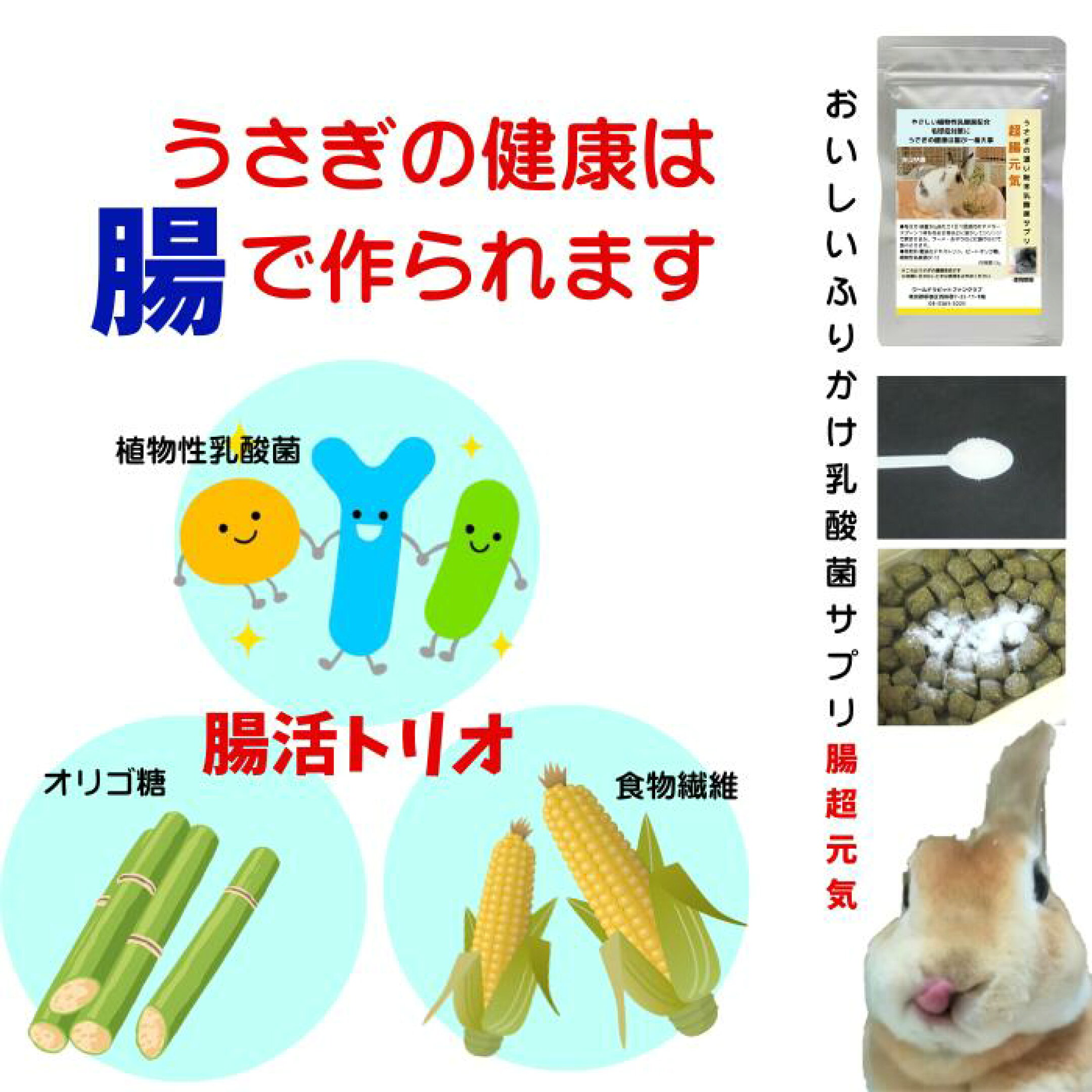 うさぎ ふりかけ 乳酸菌 超腸元気