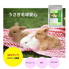 うさぎ 毛球対策 サプリ パパイヤボール NEXT 10g パパイヤボール新型 ご注文混雑のため発送にお時間を頂戴いたします