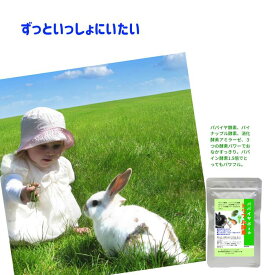 うさぎ 毛球サプリ パパイヤボール トリプル酵素 10g パパイヤボール新型 ご注文集中のため発送遅延が発生しております