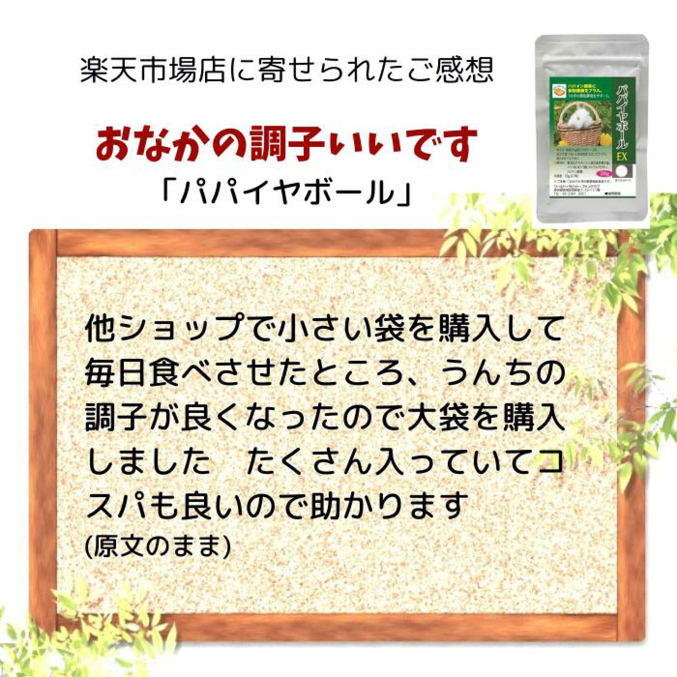 パパイヤボールいいです