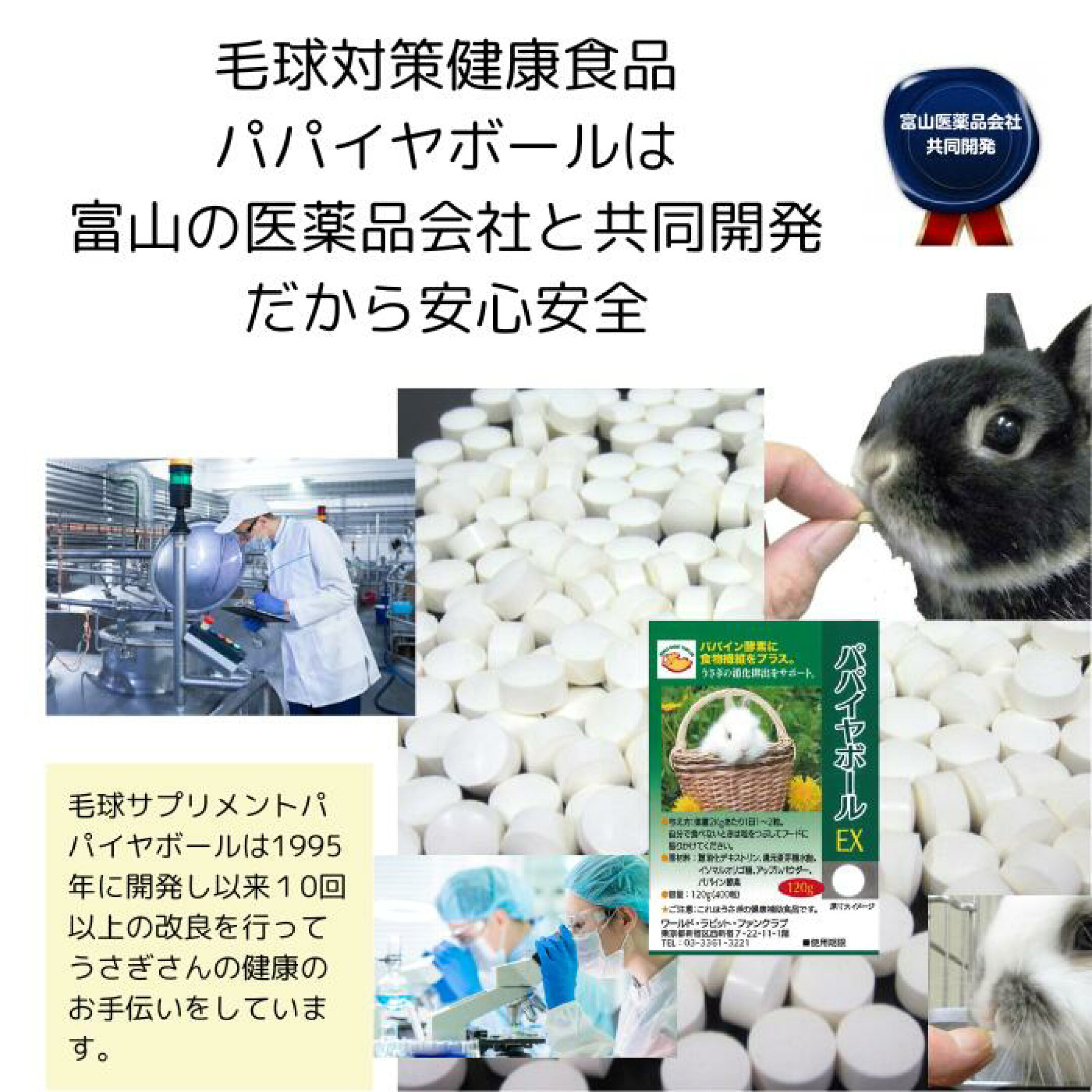 富山医薬品会社と共同開発パパイヤボール