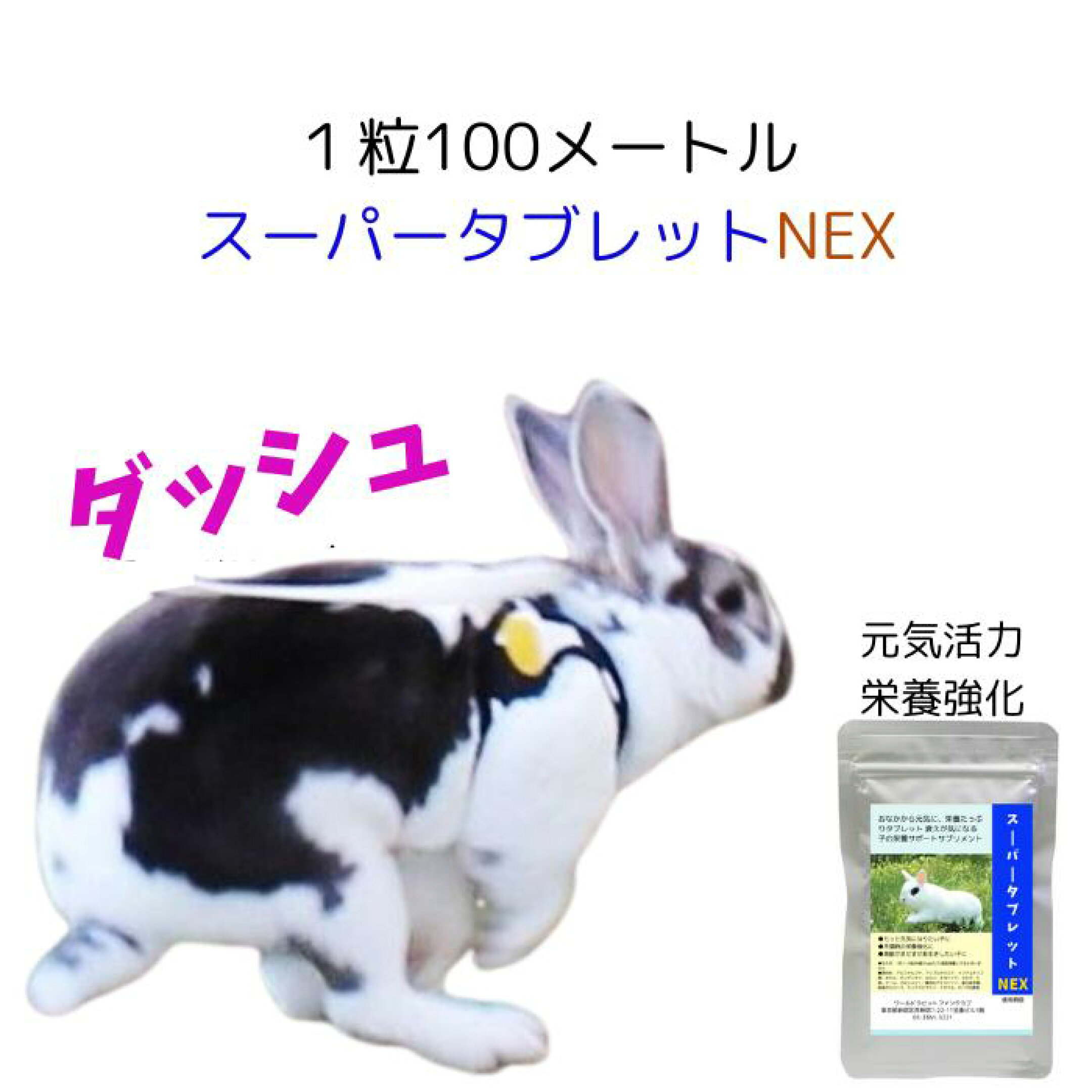 うさぎさんの栄養補給にスーパータブレット