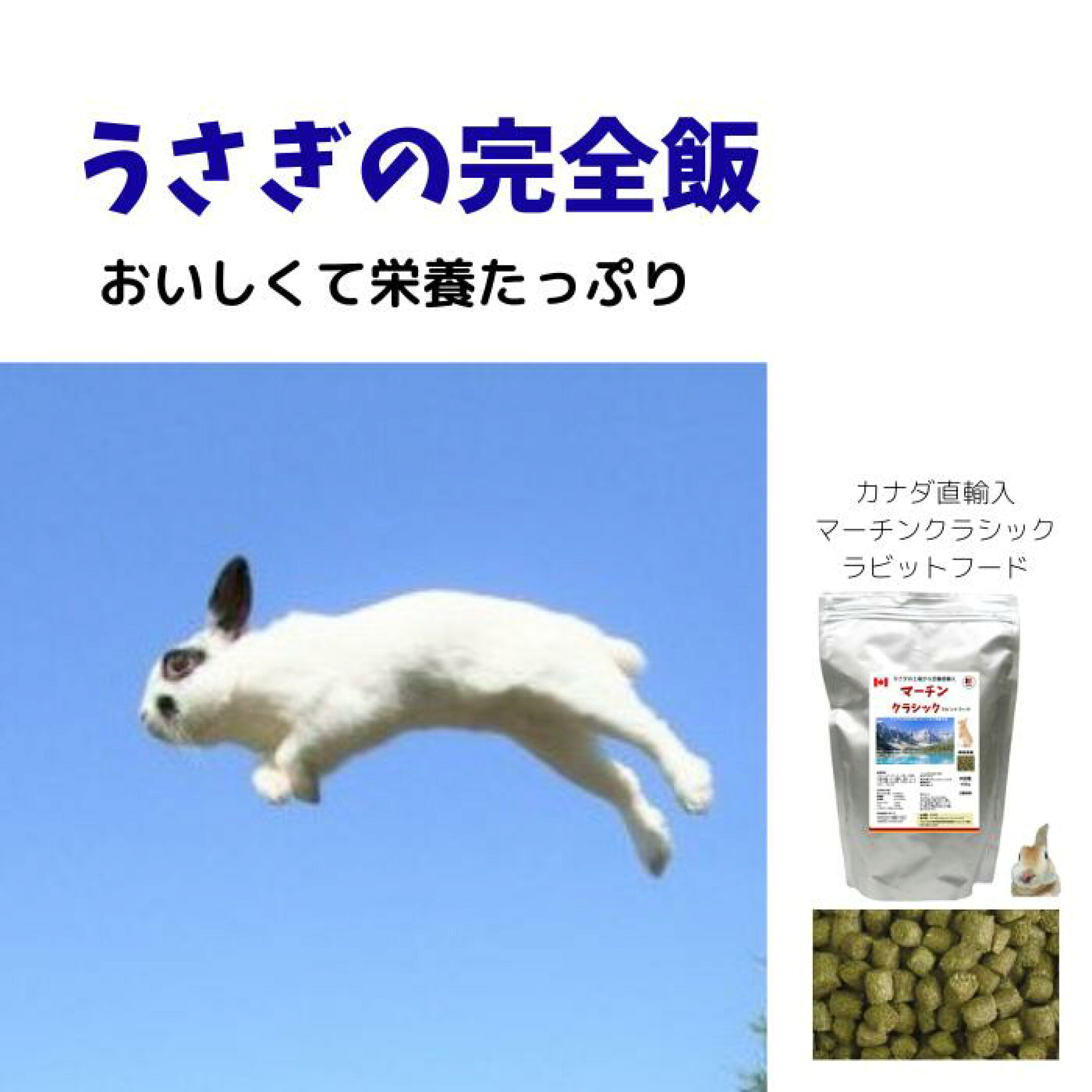 おいしくて栄養たっぷりマーチンラビットフード