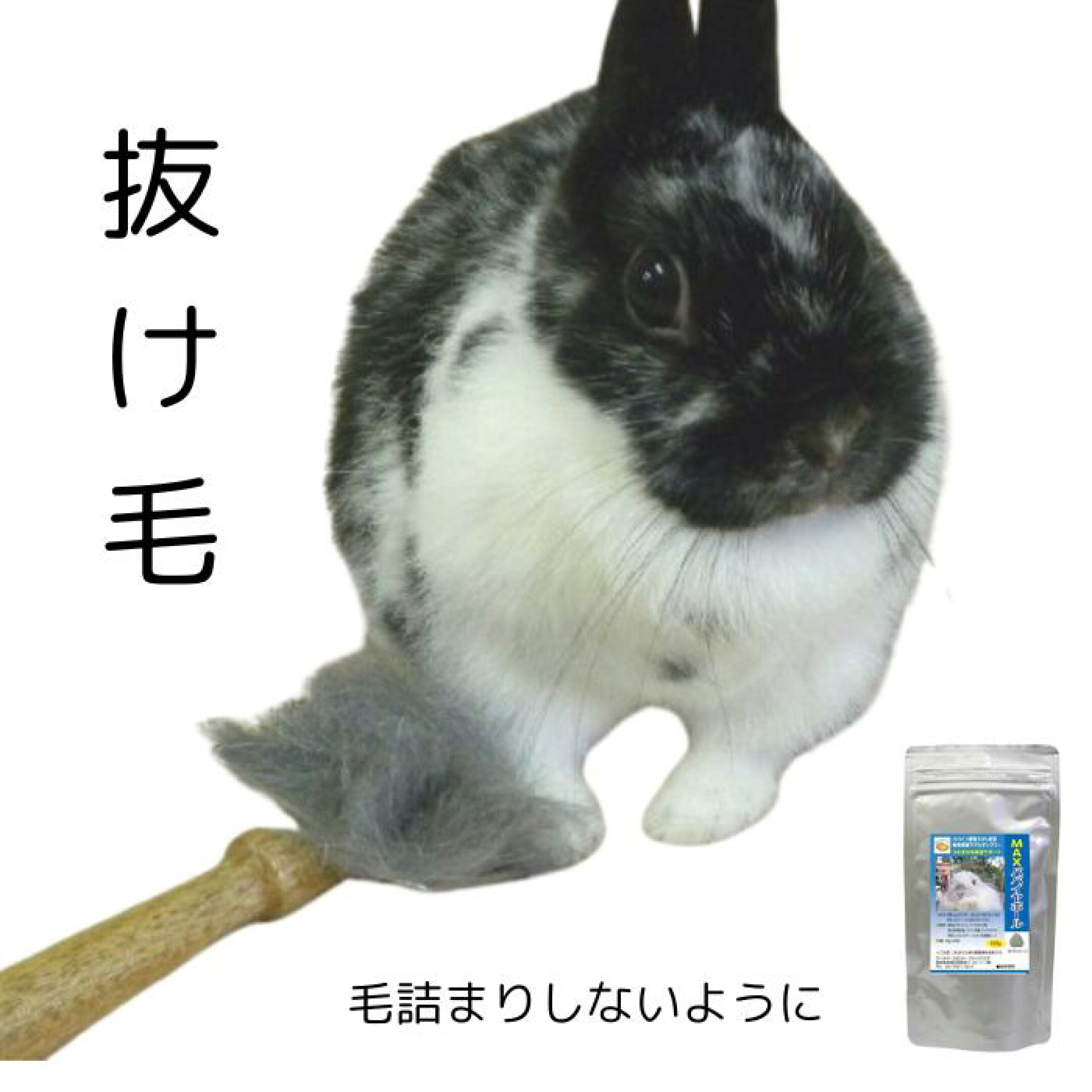 抜け毛の多い子にMAXパパイヤボール