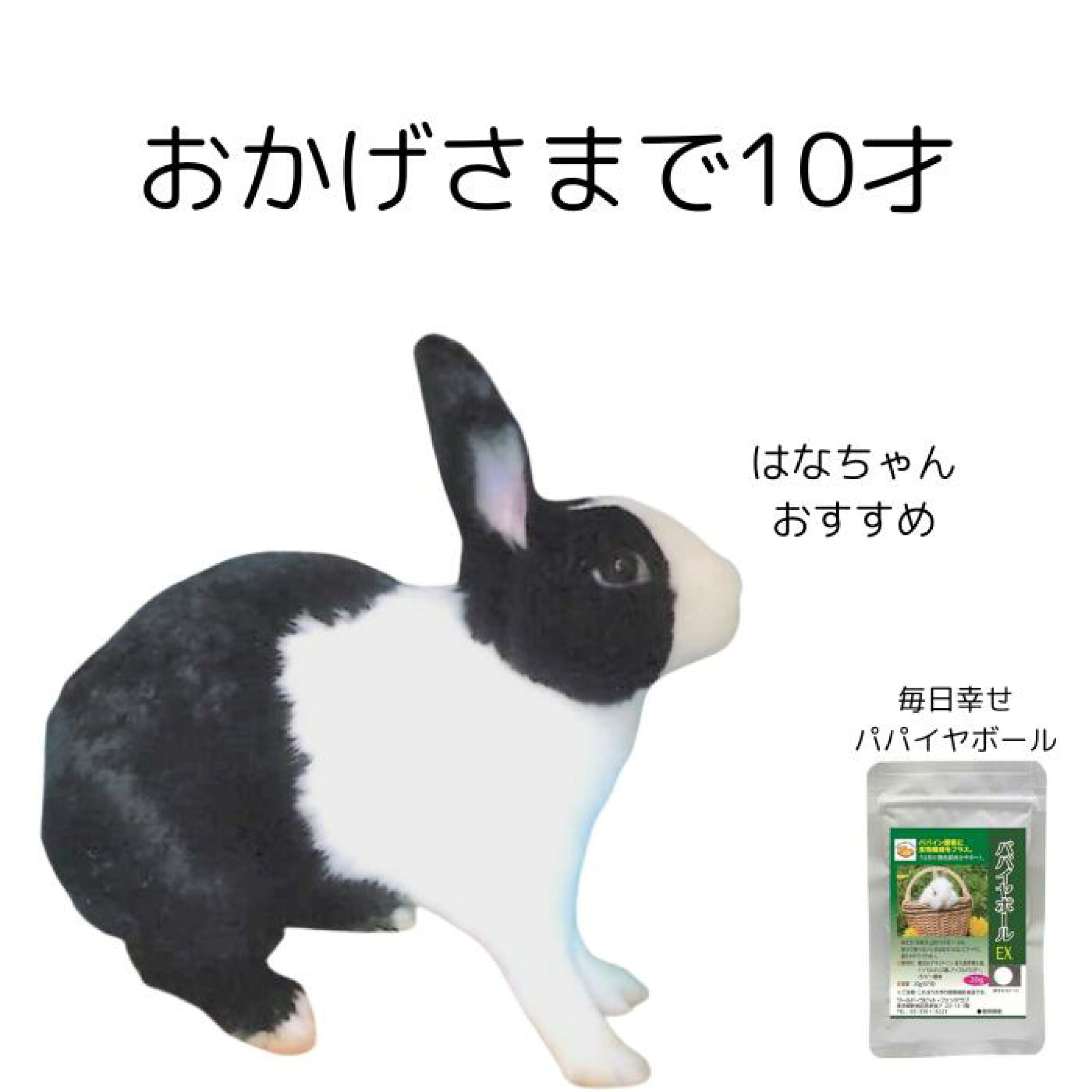 長生きパパイヤボール