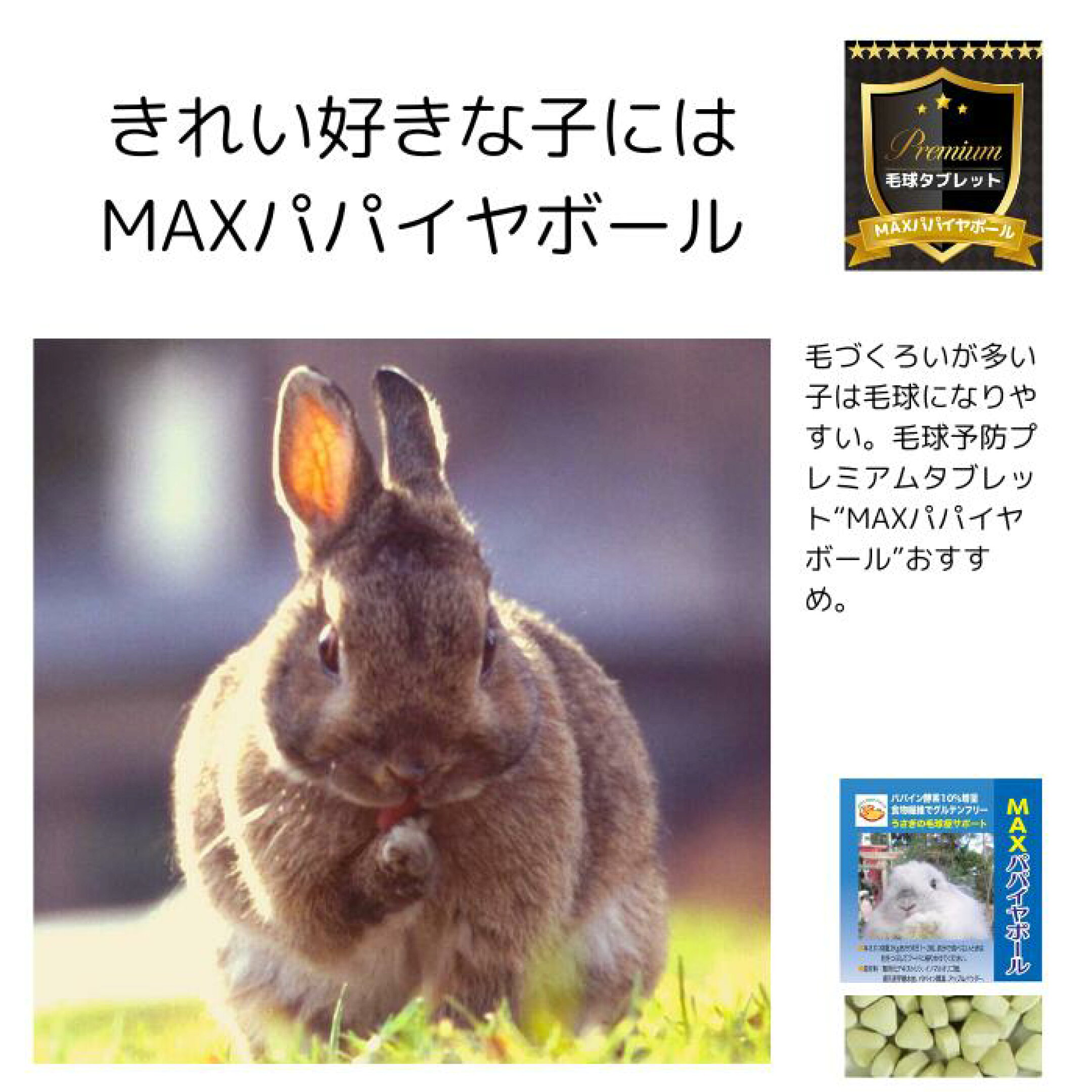 きれい好きな子にmaxパパイヤボール