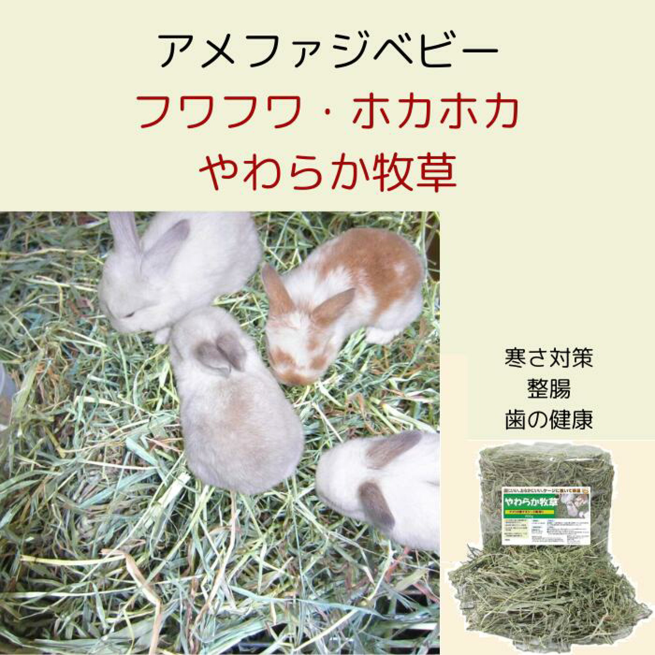 ベビー 高齢の子 おすすめ やわらか牧草