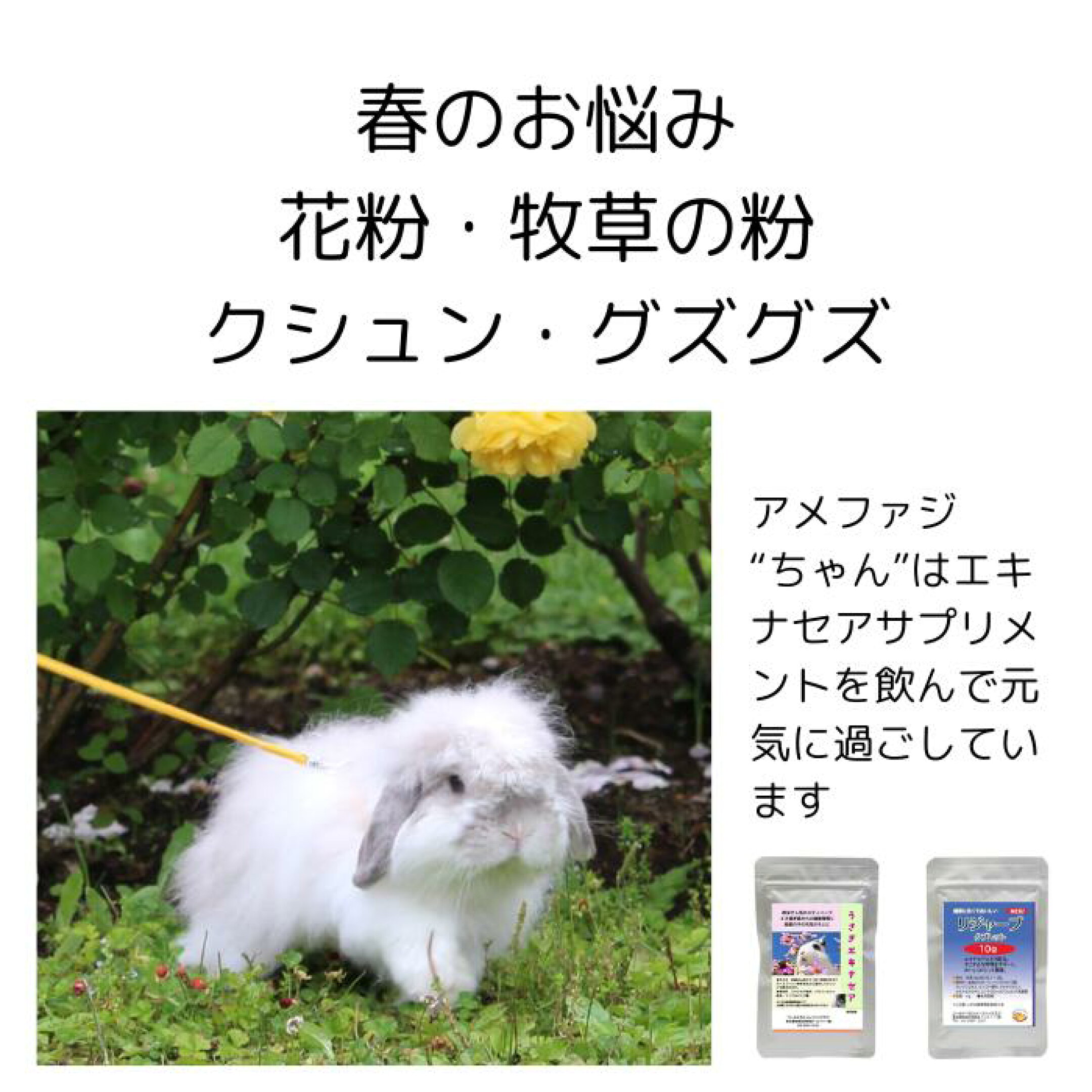 花粉牧草粉アレルギー