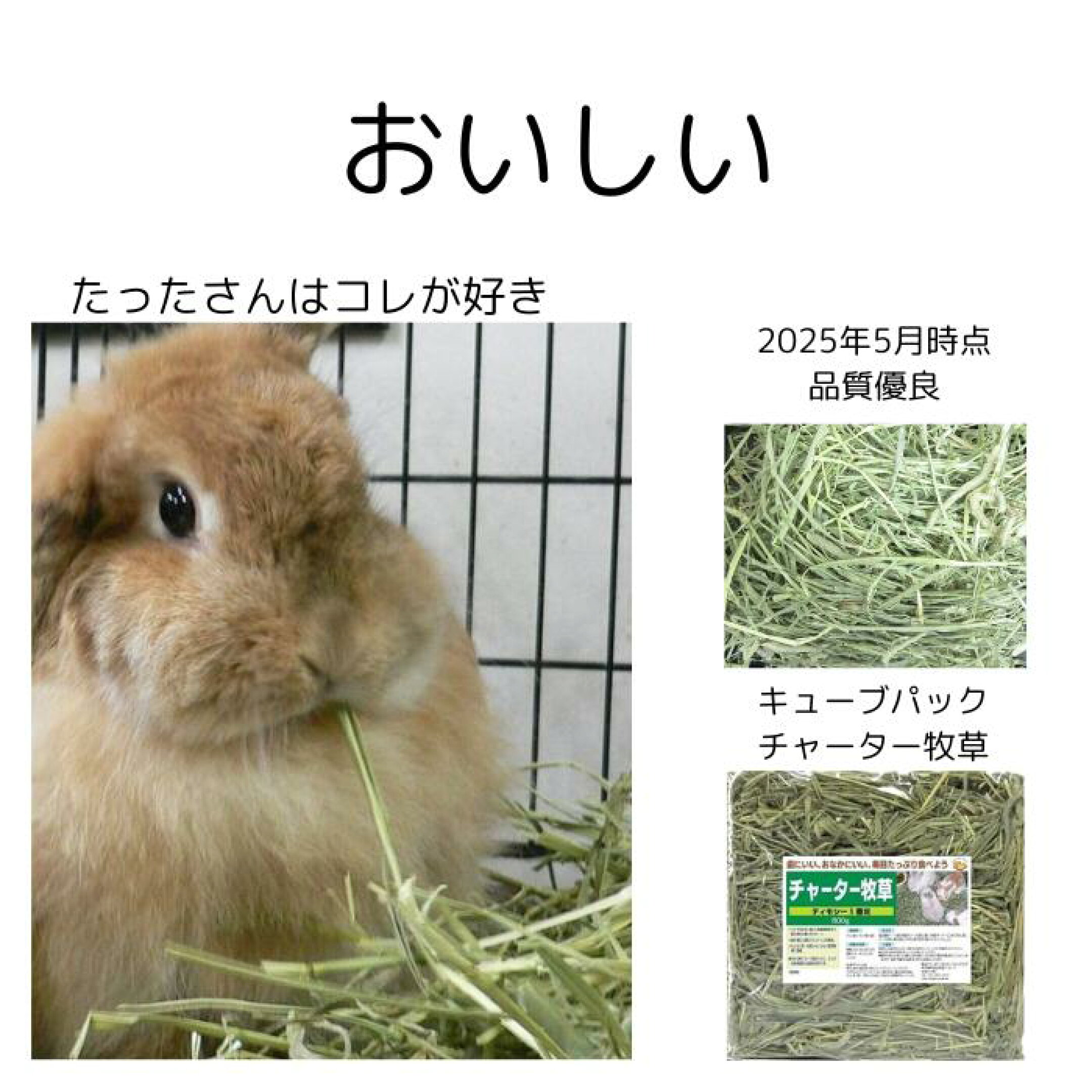食べやすいチモシー牧草