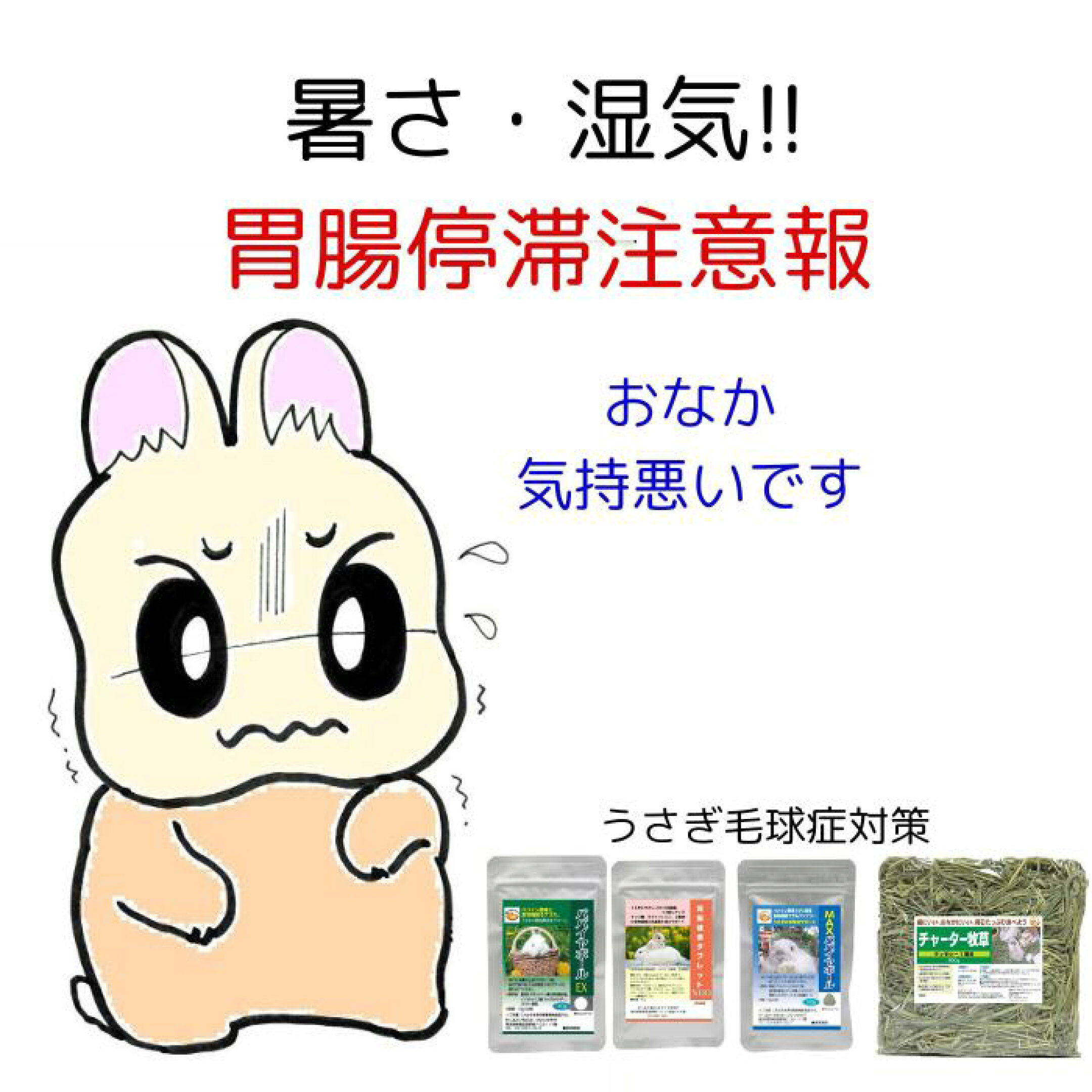 胃腸停滞ご注意