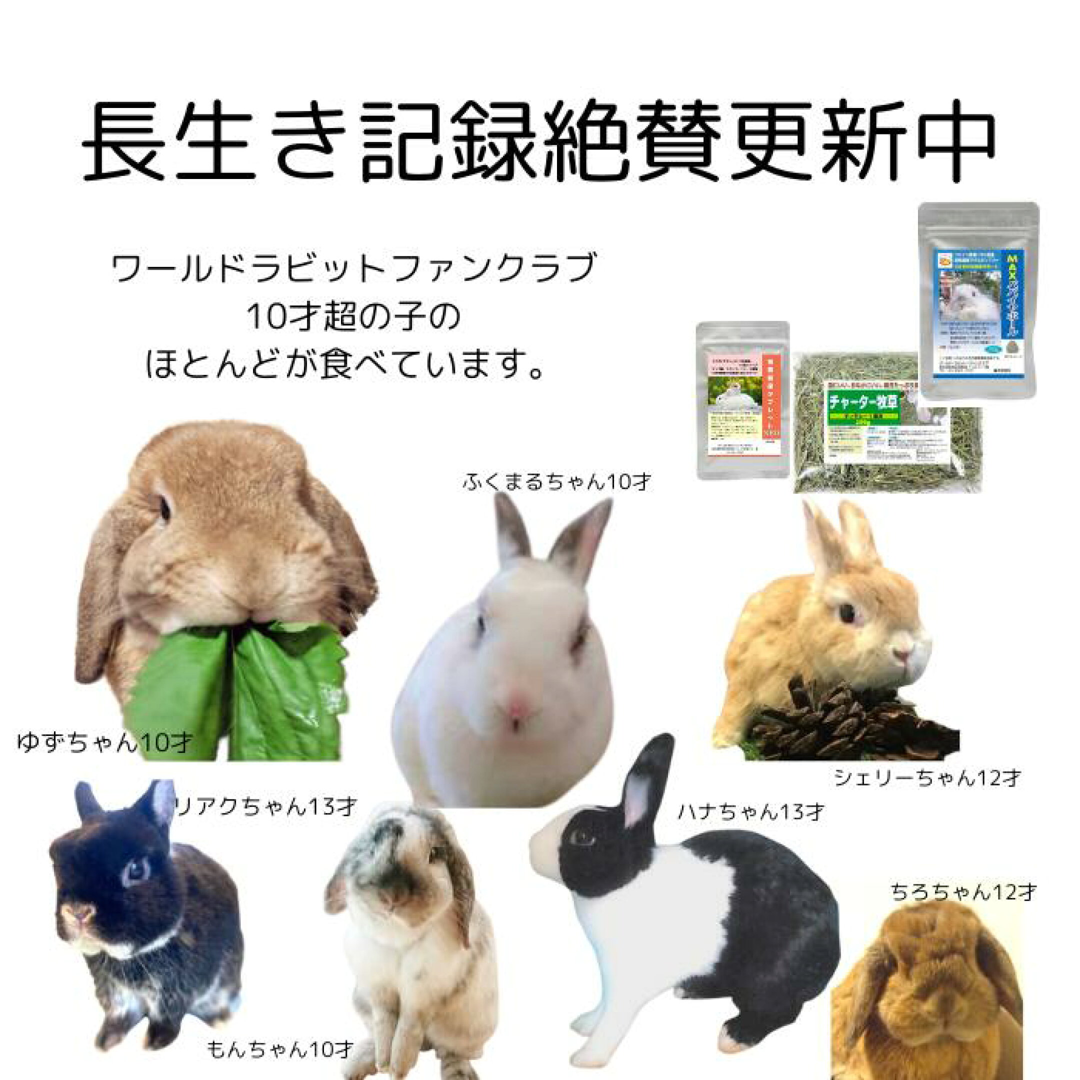 長生きうさぎ御用達