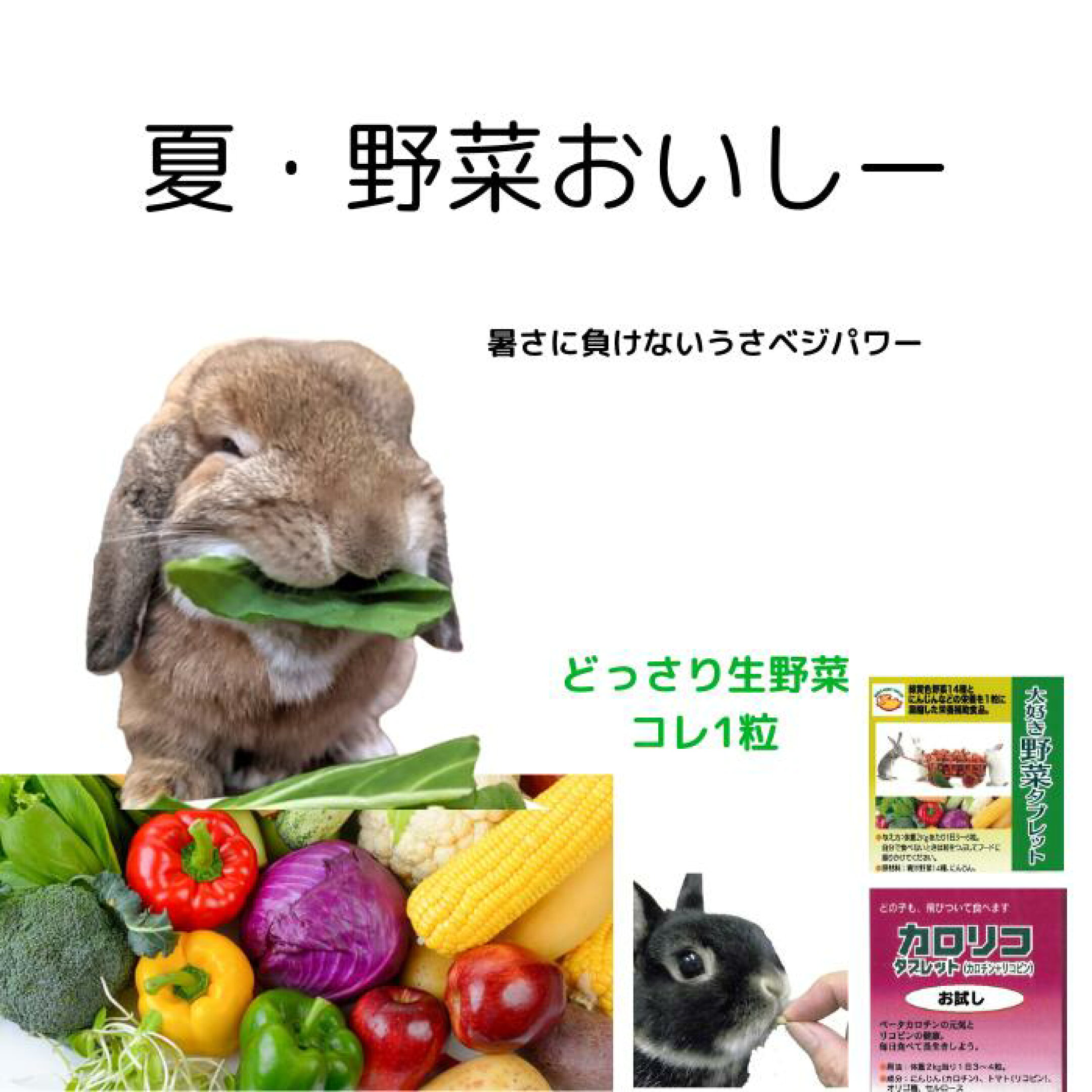 １粒で生野菜たっぷり