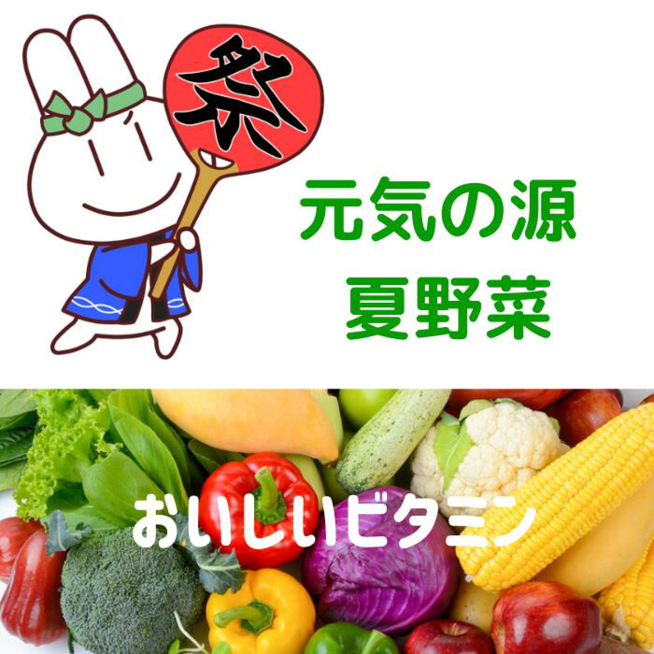 夏の元気の素野菜タブレット