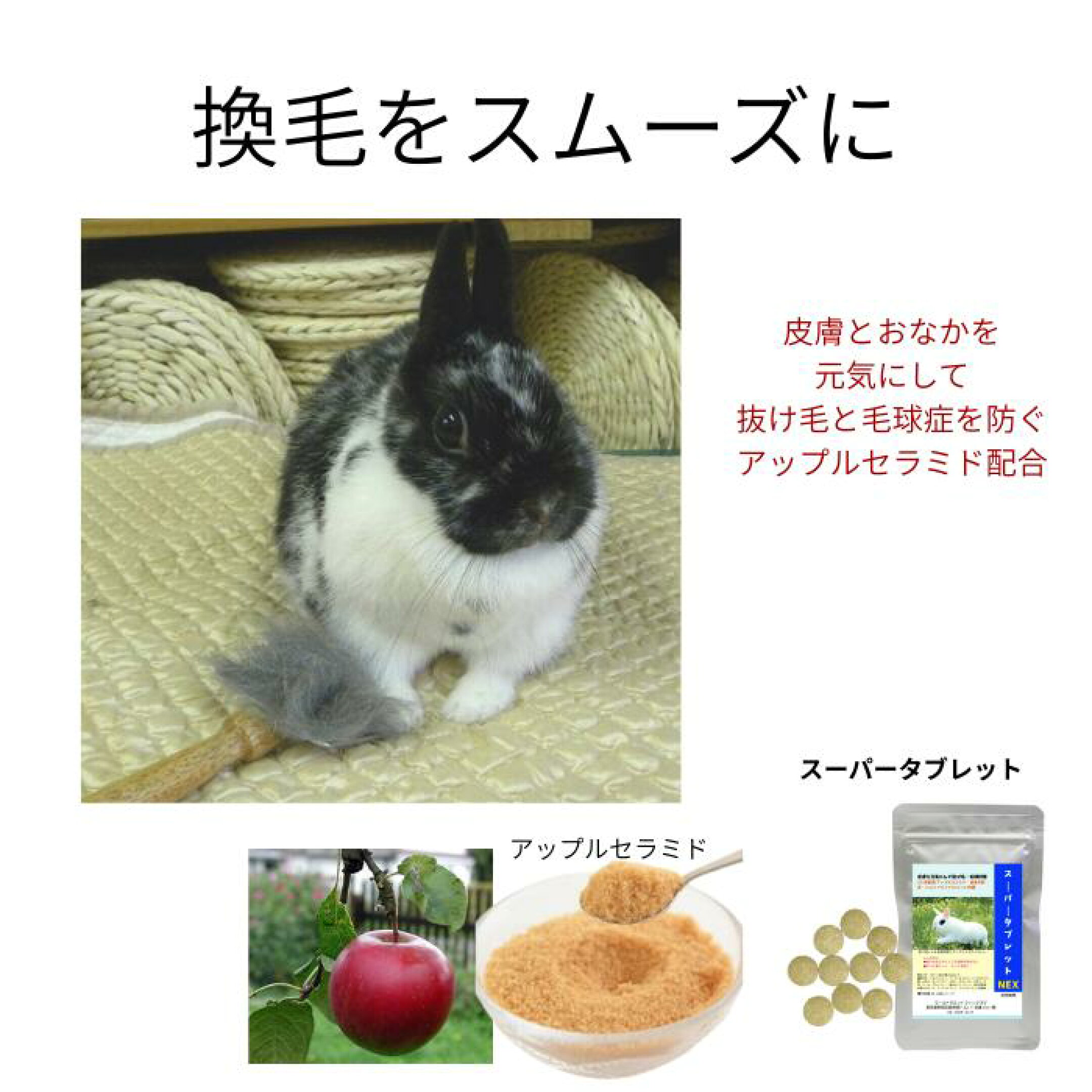 アップルセラミドで換毛がスムーズになり毛球症を予防