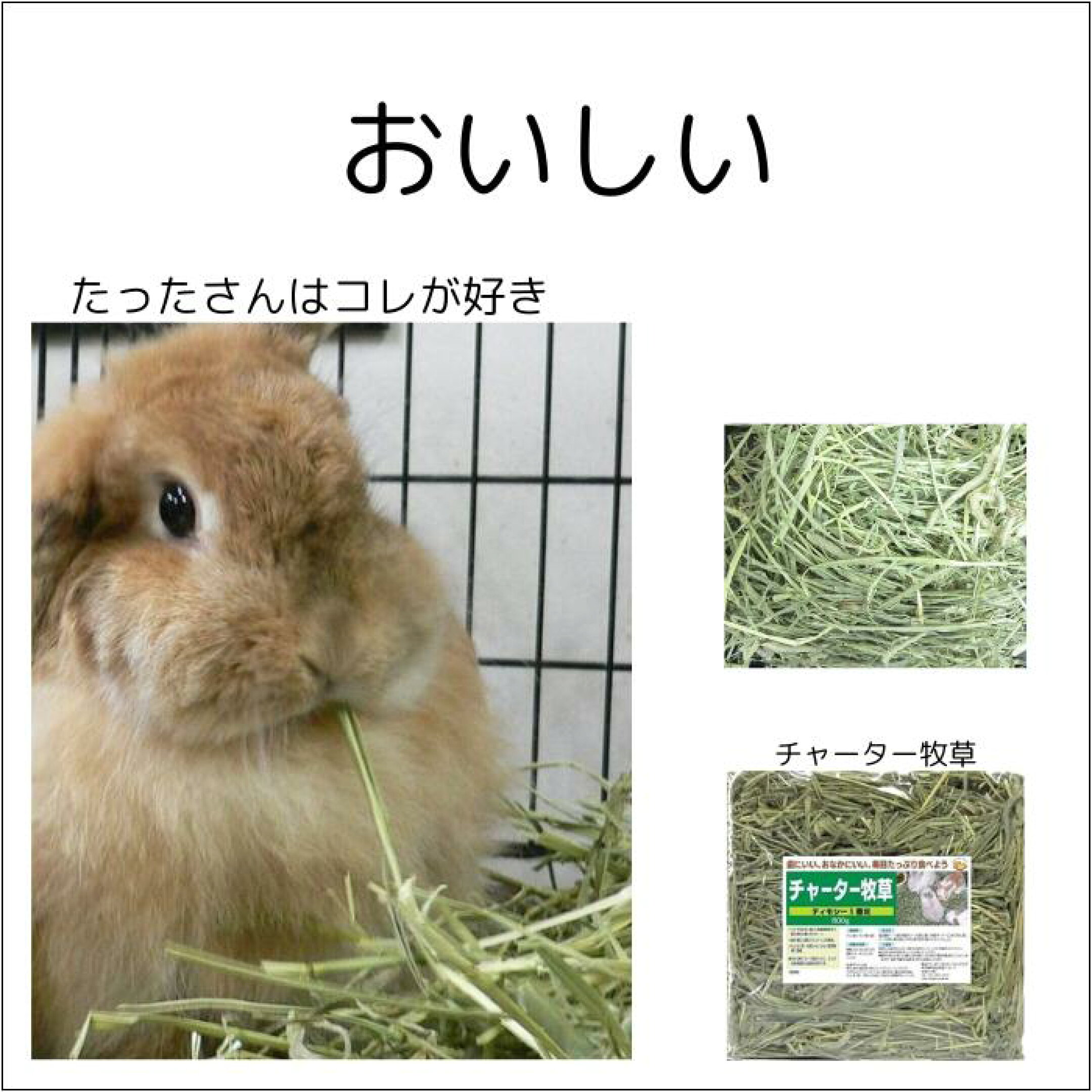 食いつきいいです チャーター牧草 チモシー