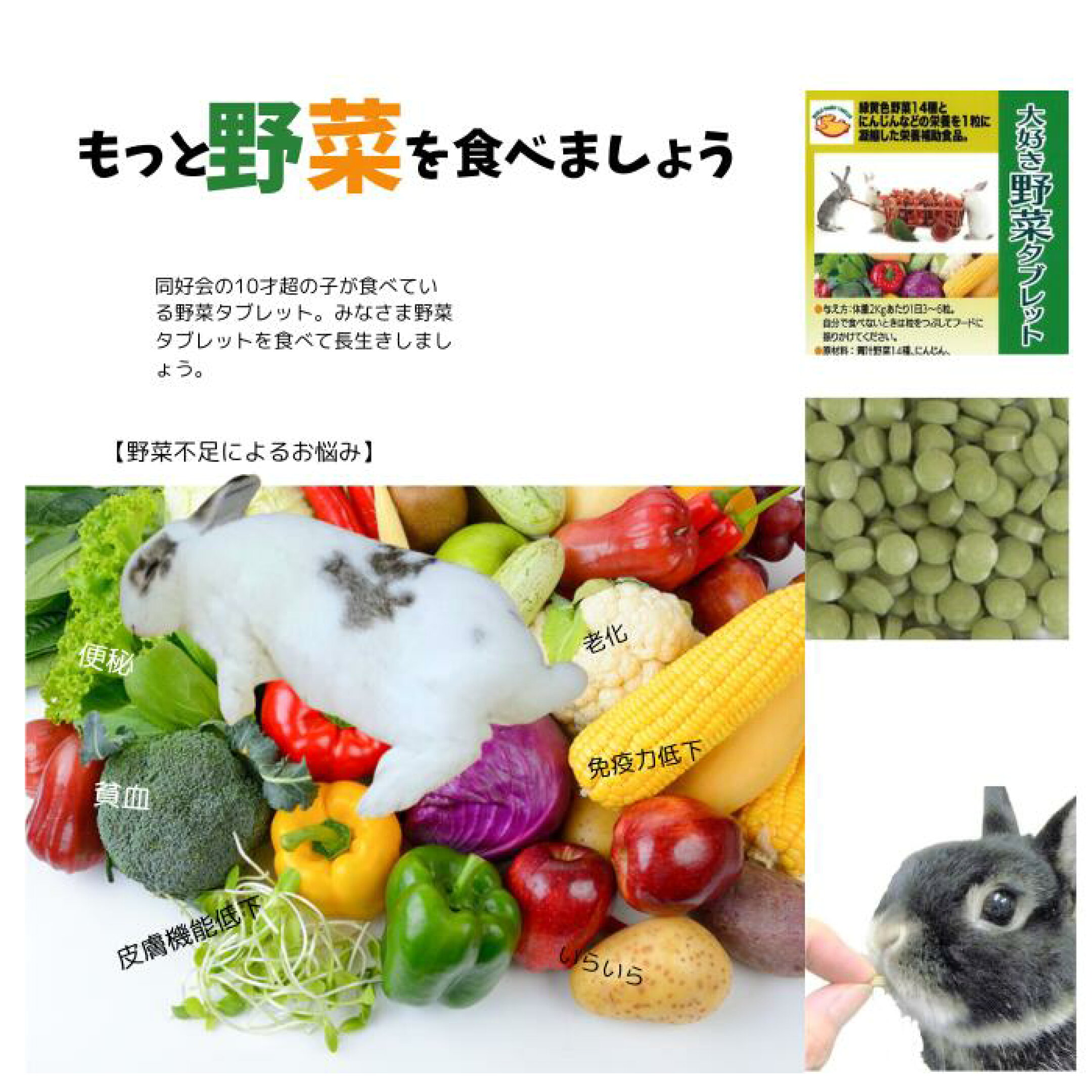 うさぎ健康緑黄色野菜