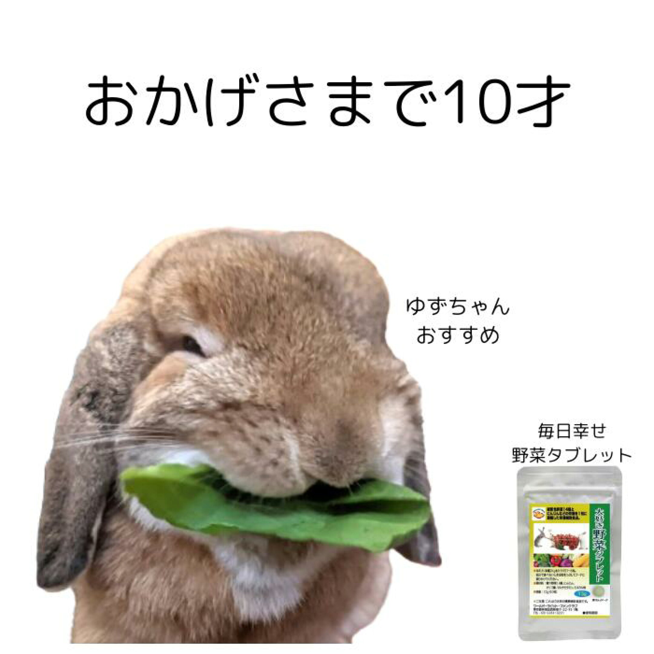 うさぎ健康緑黄色野菜