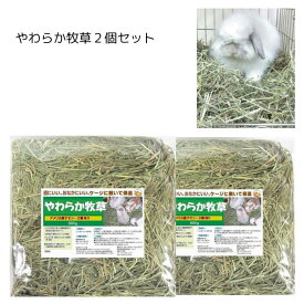 うさぎクラブ やわらか牧草800g2個セット (チモシー2番刈 ) やや枯葉が多くなっています 茎も柔らかです