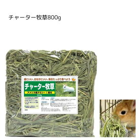 30%OFF 在庫限り 乾燥のため茎が短く折れています うさぎファンクラブ チモシー1番刈り チャーター牧草800g