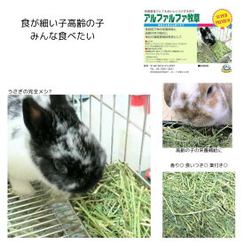 うさぎファンクラブ アルファルファ牧草400g やや枯葉が目立つようになっています お盆休みのため8月19日以降の発送とさせていただきます