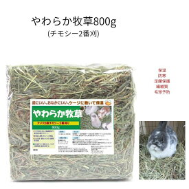 10%OFF うさぎファンクラブ やわらか牧草800g チモシー2番刈 やや枯葉が多く茎はやわらかです 品質良好