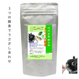 うさぎ 毛球サプリ パパイヤボール トリプル酵素 60g パパイヤボール新型 ご注文集中のため発送遅延が発生しております