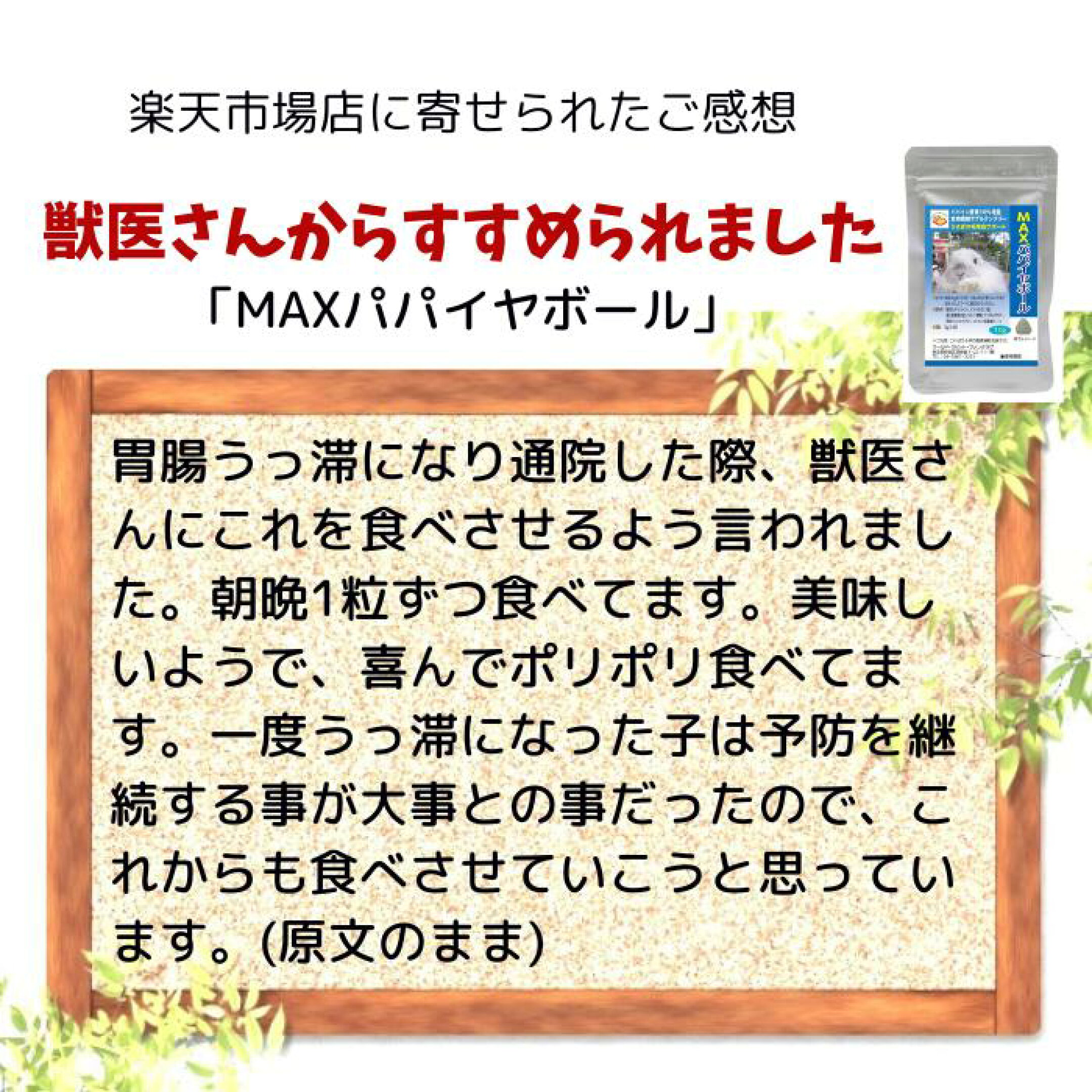 獣医さんにすすめられましたMAXパパイヤボール