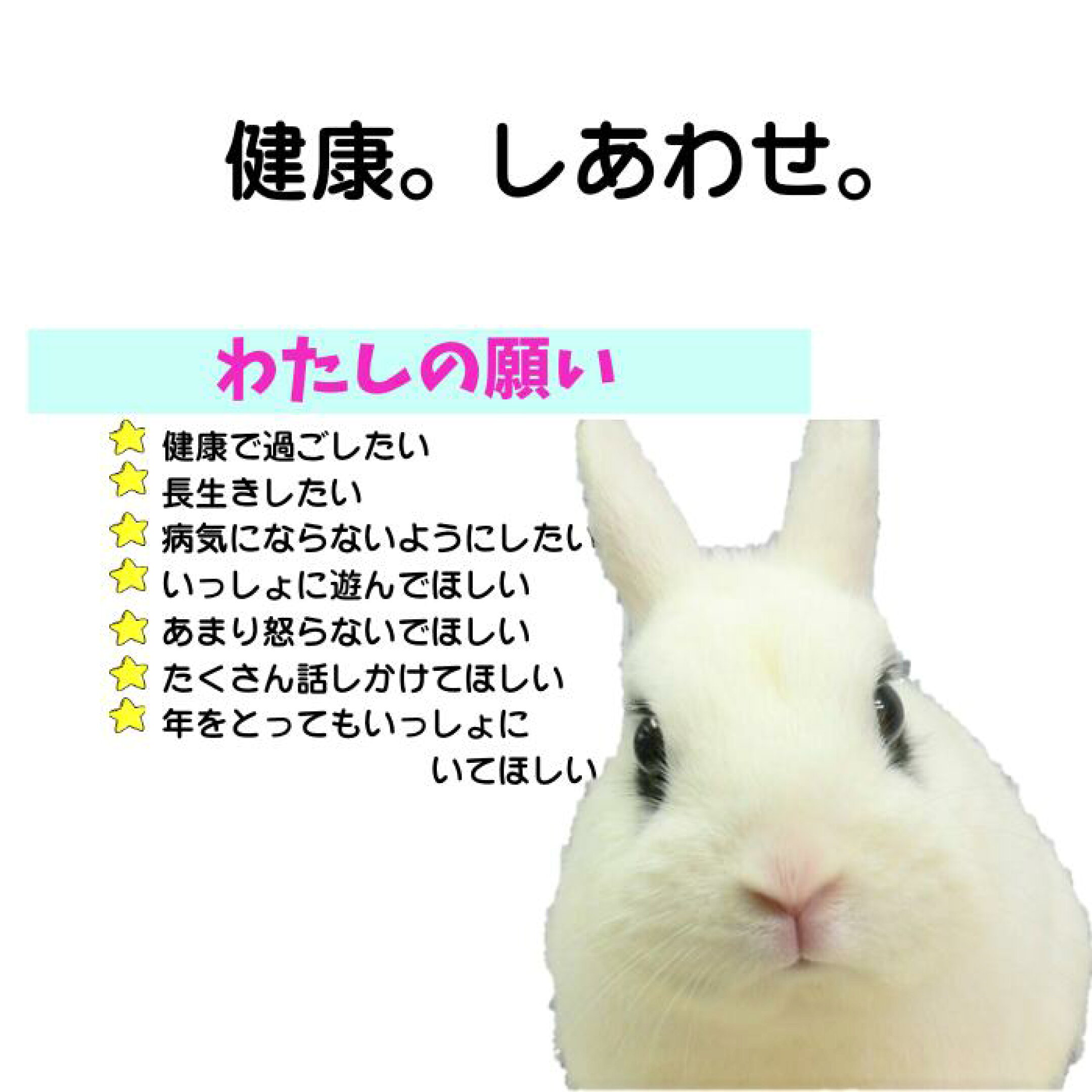 うさぎの願い