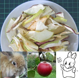 楽天市場 うさぎ おやつ りんごの通販 楽天市場 うさぎ おやつ りんごの通販