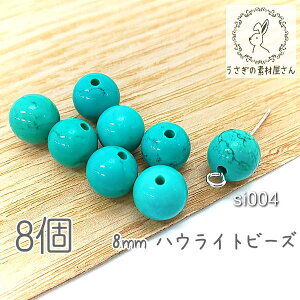 yX|Cg{3{z{ŏIInECg 8mm VR Vd^[RCY VR ANZT[ p[c 8