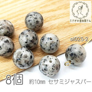 LECNH[c 10mm ZT~WXp[ LECWXp[ VR p[Xg[ ђʌ 8