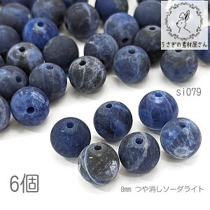 yő500~OFFz0̂N[|I\[_Cg 8mm  VR p[Xg[ ђʌ \[_ r[Y 6