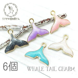 `[ NW K G ANZT[ p[c } `[ Gi }[Ch 6