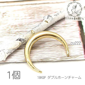 yX|Cg{3{z{ŏII`[ _uz[ 12mm 18KGP t  O p[c NbZg[  F 1